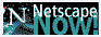 Netscape Home